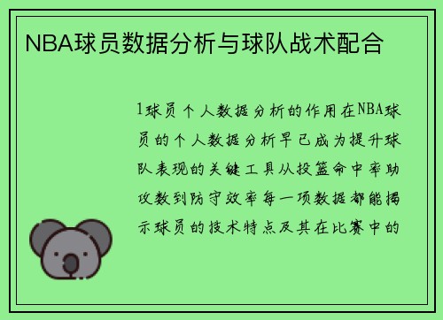 NBA球员数据分析与球队战术配合